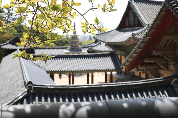Gyeongju The UNESCO World heritage sites tour(Private tour) - Photo 1 of 11
